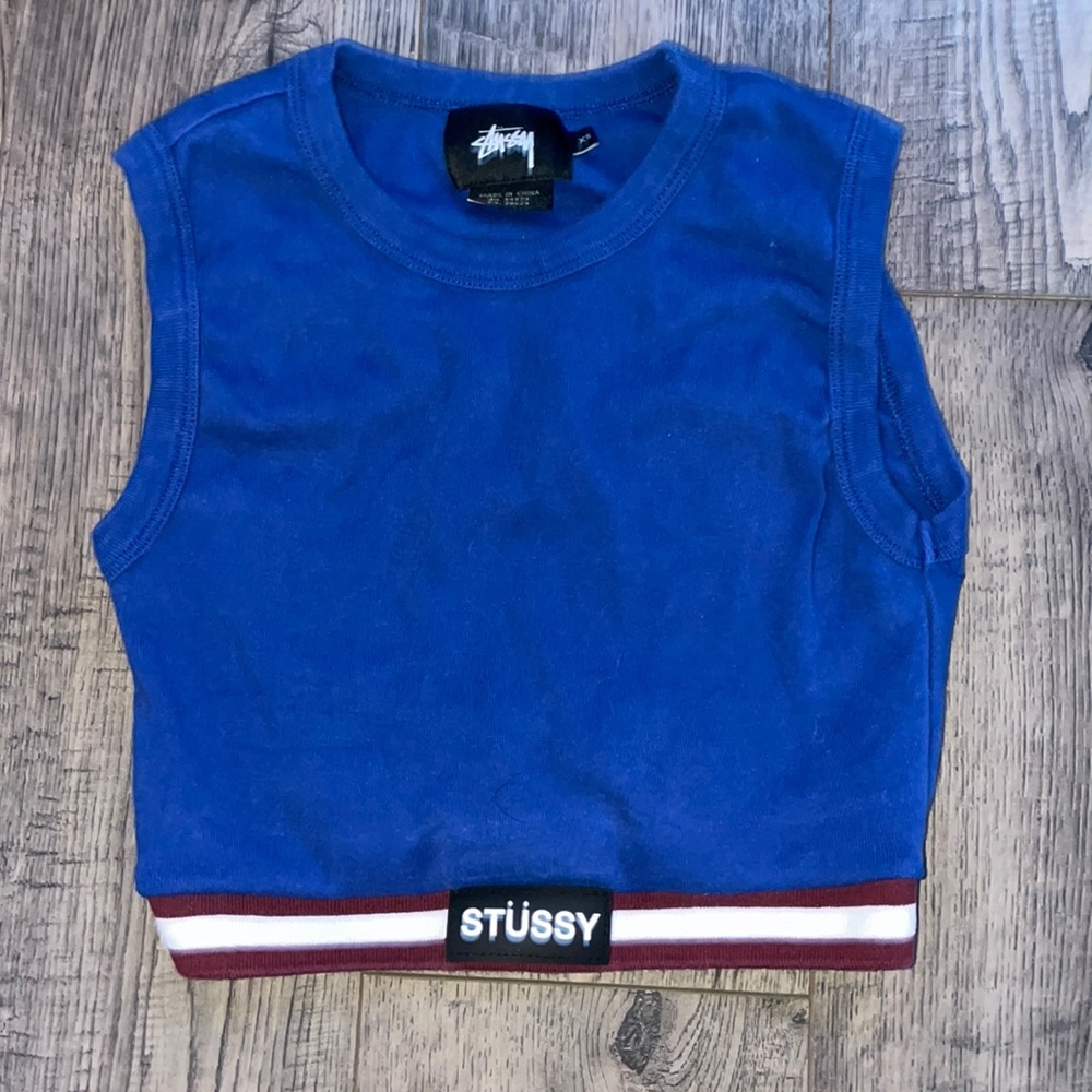 Blue stussy crop top